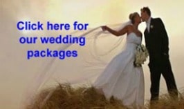 Corporate / Weddings - Chartered Services